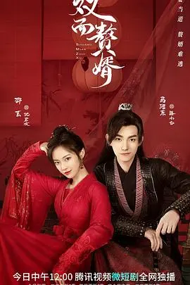 《双面赘婿》：反套路！看高智商男主如何玩转商场，抱得美人归！