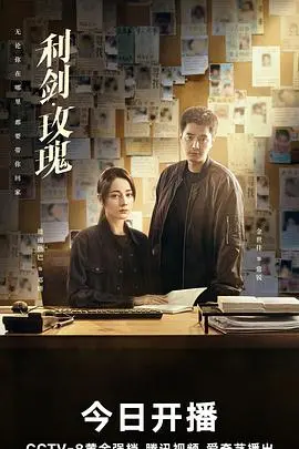 《利剑·玫瑰》：暗流涌动的正义之战，揭秘人性与权力的复杂纠葛